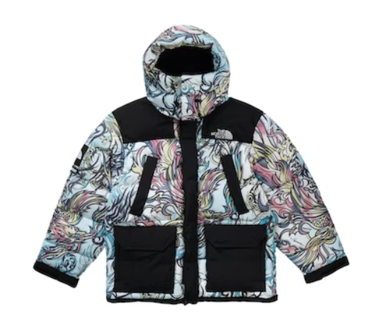 SUPREME THE NORTH FACE 700-FILL DOWN PARKA MULTICOLOR DRAGON